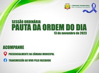 Saiba o que será analisado pelos vereadores na próxima segunda-feira 